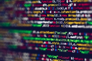 Linkpartners-Sport-onderwijs-en-entertainment